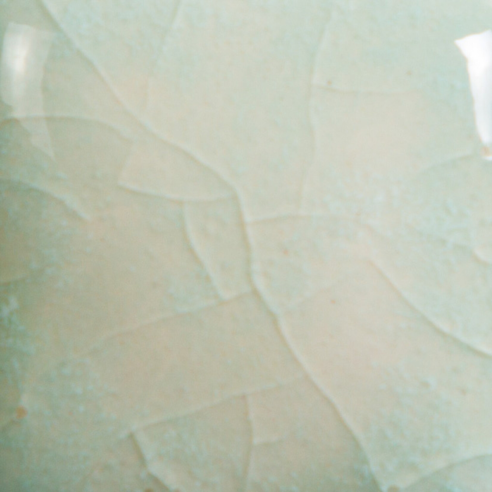 COLORAMICS, LLC MAYCO CG-997 SEAFOAM