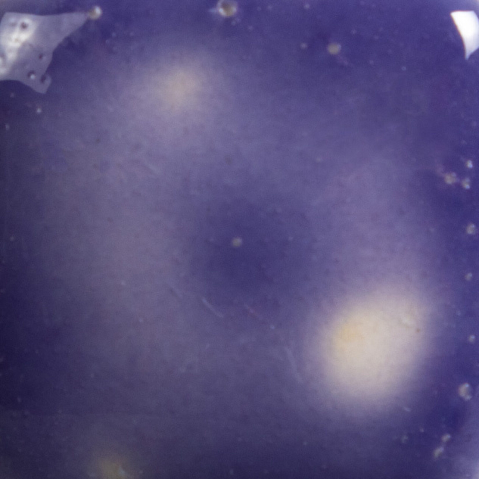 COLORAMICS, LLC MAYCO S-2723 GRAPE DEVINE