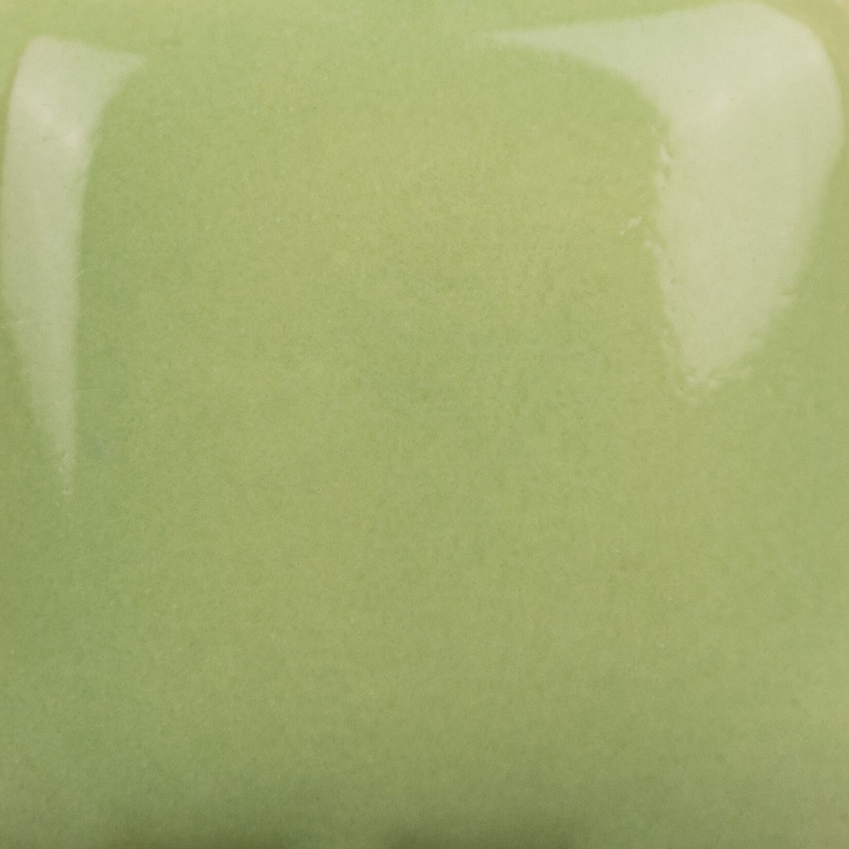 COLORAMICS, LLC MAYCO SC-43 LETTUCE ALONE