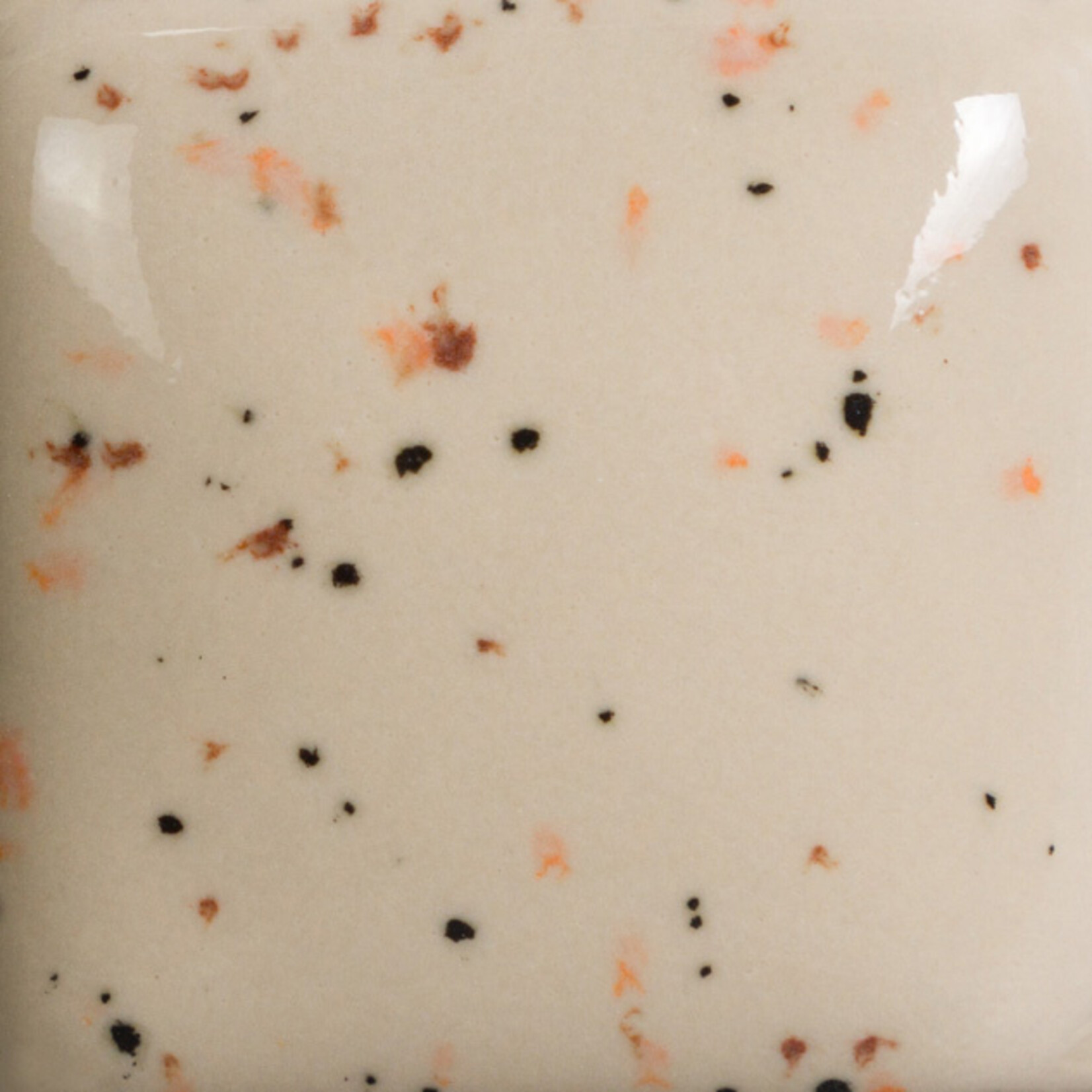 COLORAMICS, LLC MAYCO SP-254 SPECKLED VANILLA DIP PT