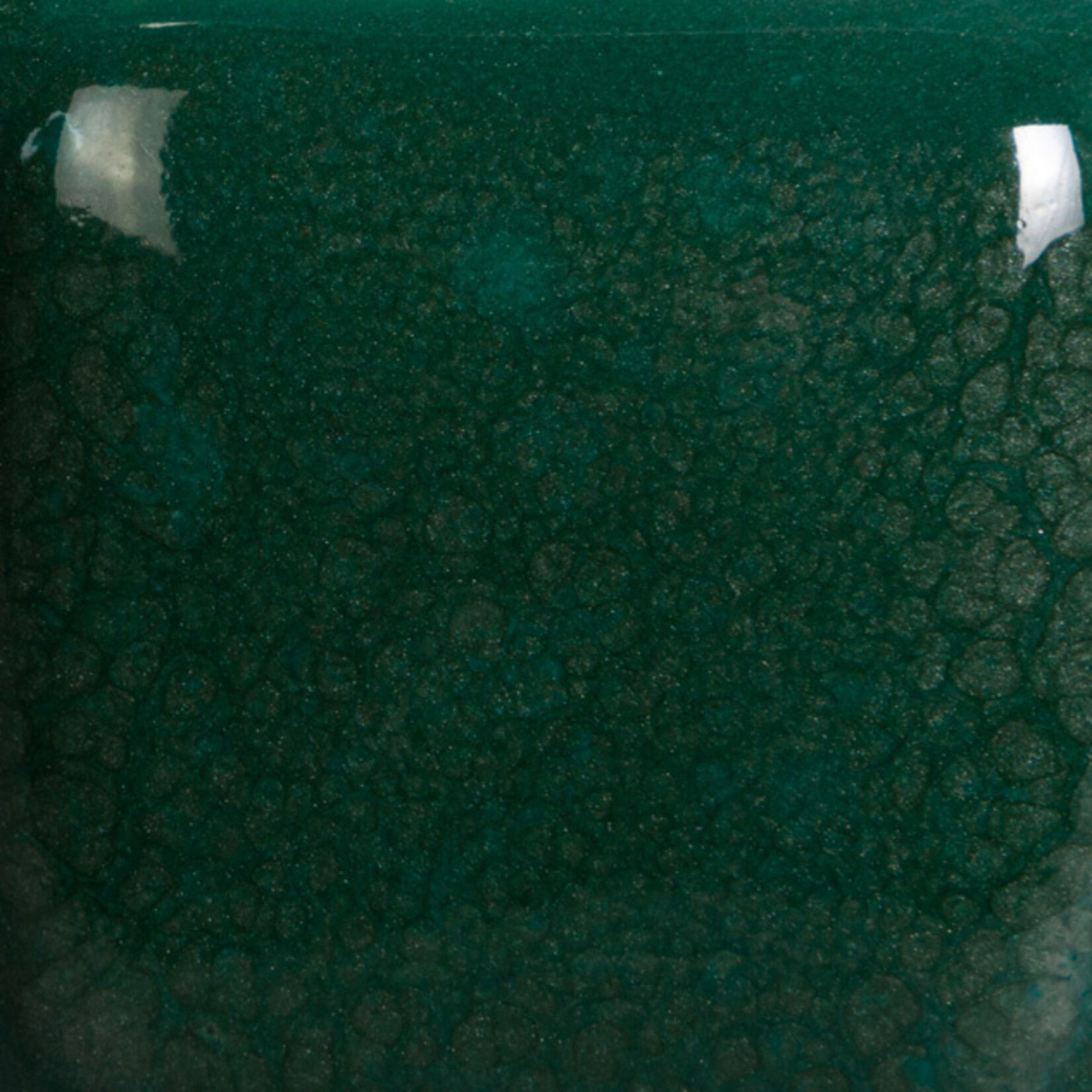 COLORAMICS, LLC MAYCO SP-210 SPECKLED TEAL NEXT TIME PT