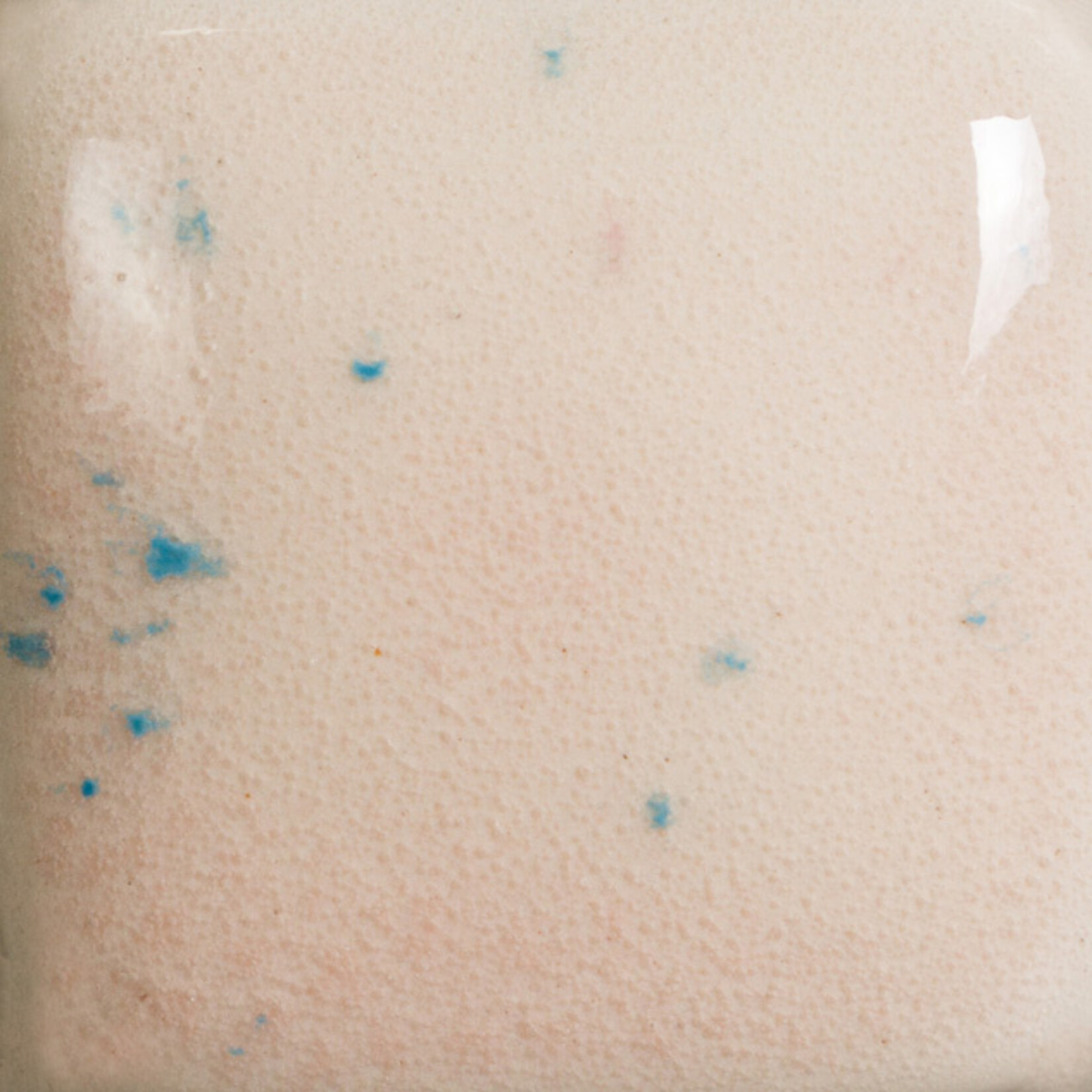 COLORAMICS, LLC MAYCO SP-270 SPECKLED PINK-A-DOT PT