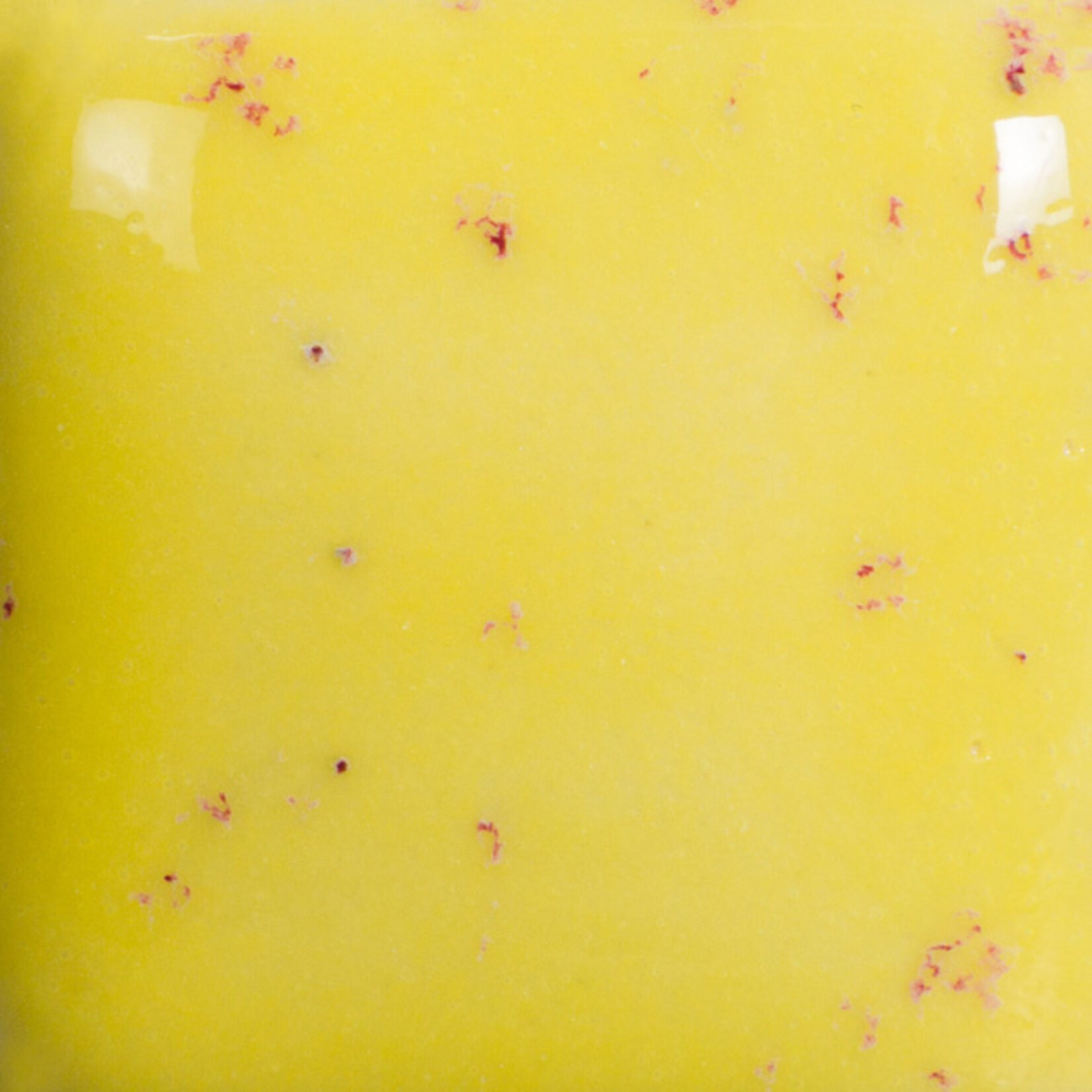 COLORAMICS, LLC MAYCO SP-206 SPECKLED SUNKISSED PT