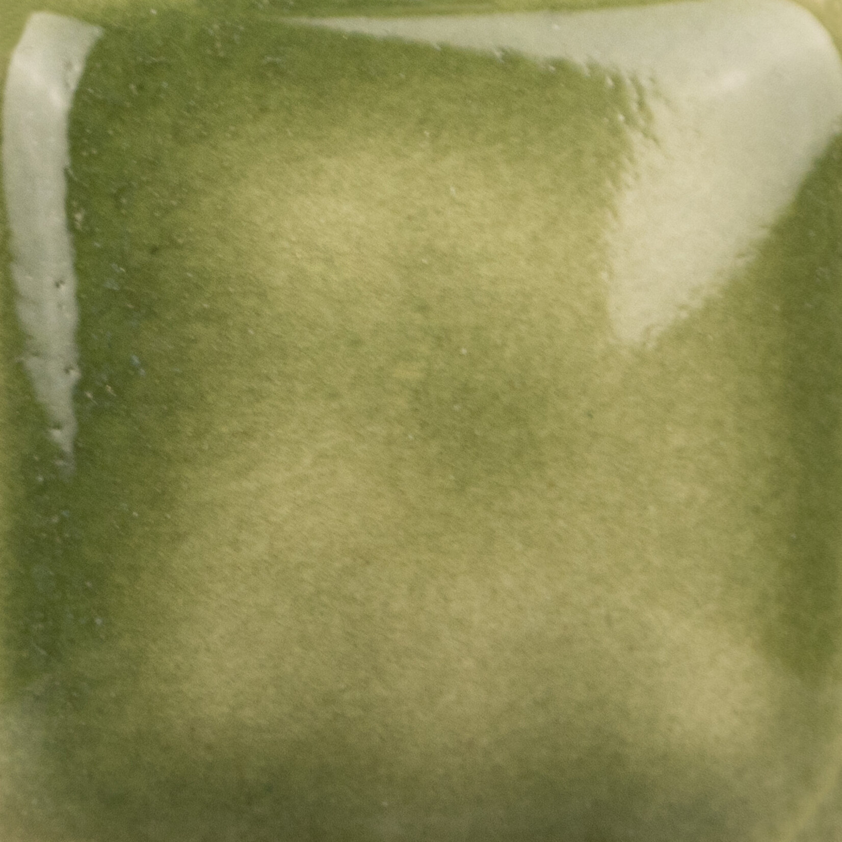 COLORAMICS, LLC MAYCO SC-98 SLIME TIME PT