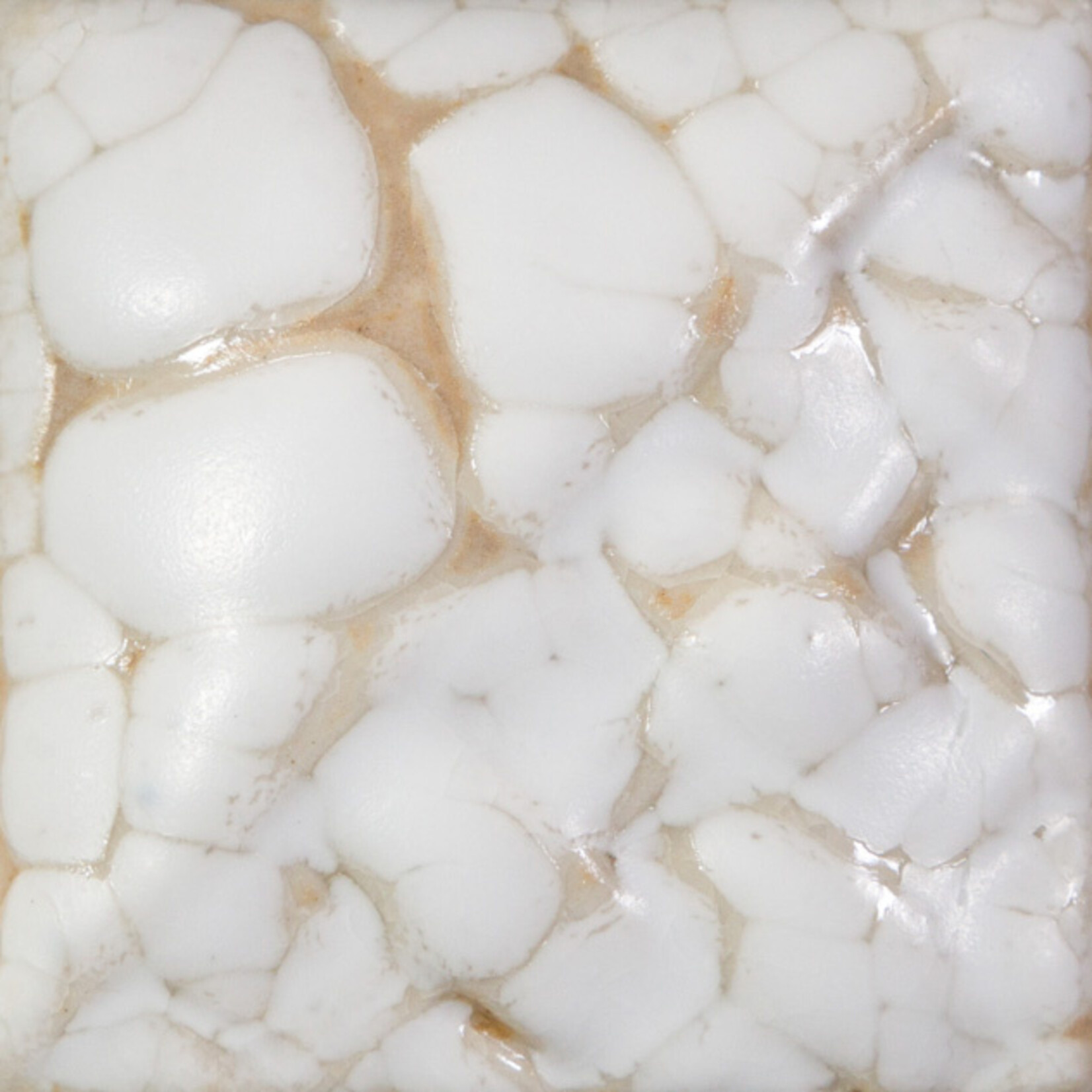 COLORAMICS, LLC MAYCO SW-403 PT WHITE MUDCRACK