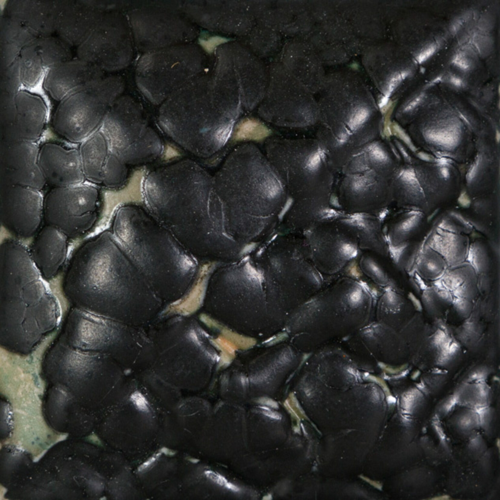 COLORAMICS, LLC MAYCO SW-404 PT BLACK MUDCRACK