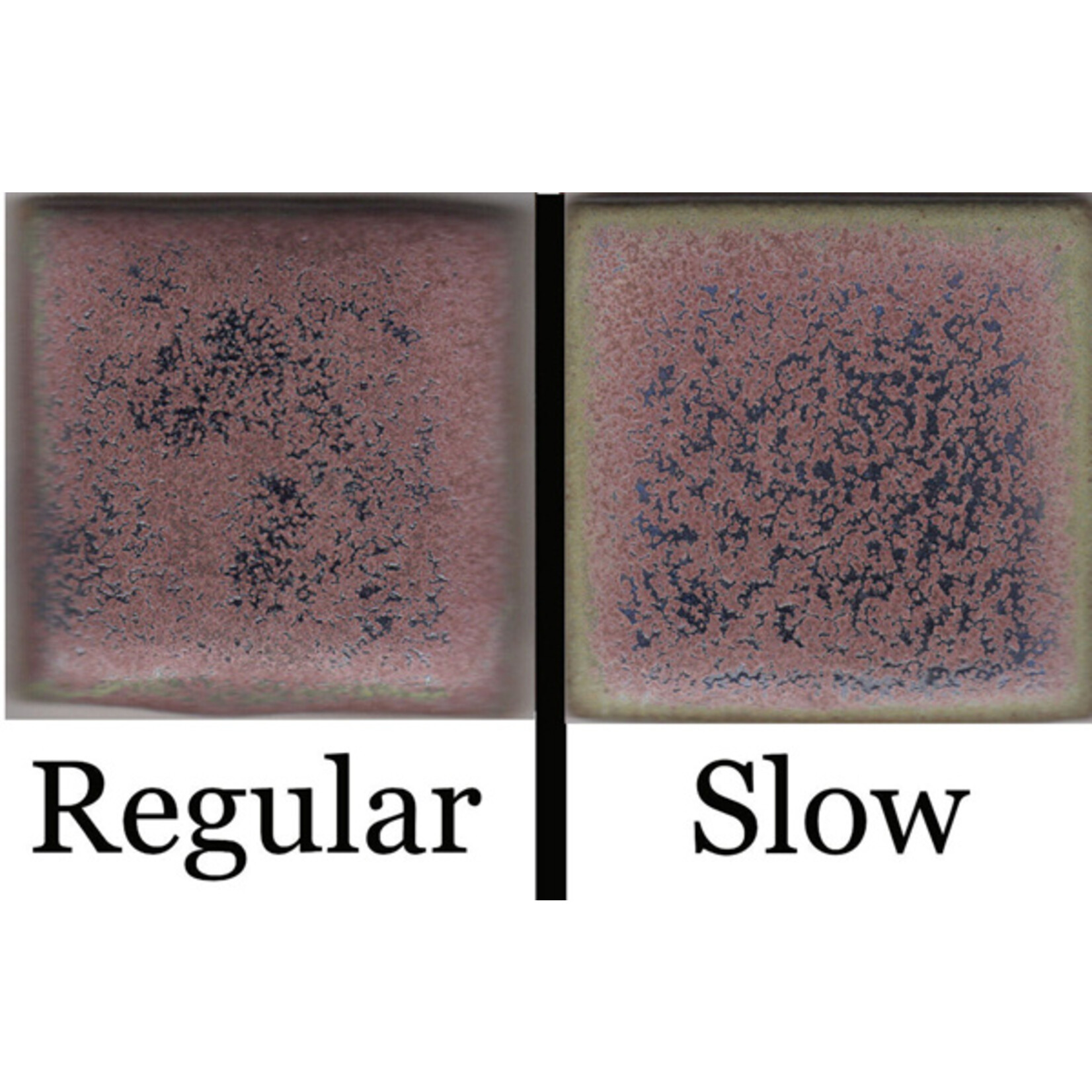 Coyote Clay & Color COYOTE MBG-056 EGGPLANT