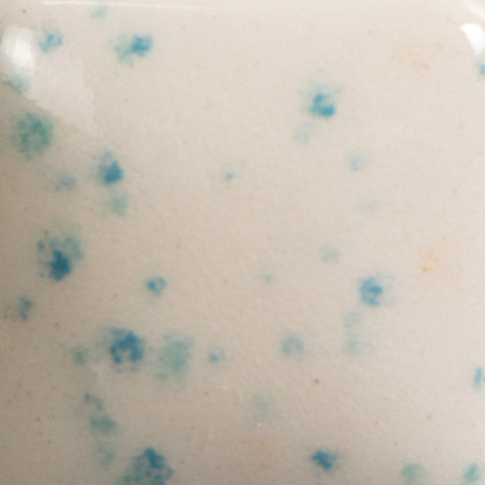 COLORAMICS, LLC MAYCO SG-702 SPECKTA-CLEAR CELEBRATION--DISCONTINUED