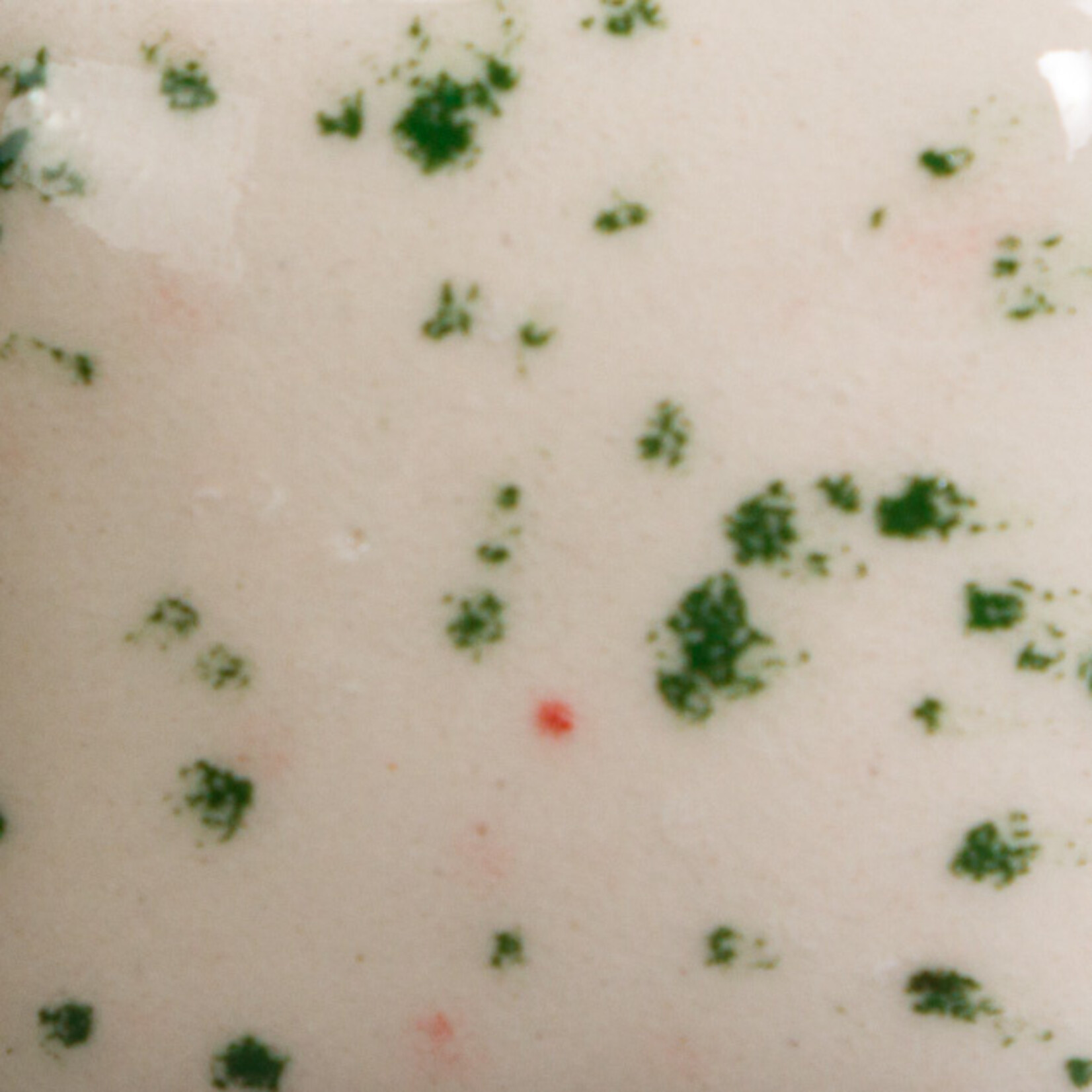 COLORAMICS, LLC MAYCO SG-704 SPECKTA-CLEAR PEPPERMINT--DISCONTINUED