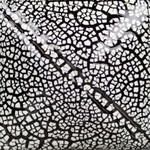 COLORAMICS, LLC SG-202 WHITE COBBLESTONE