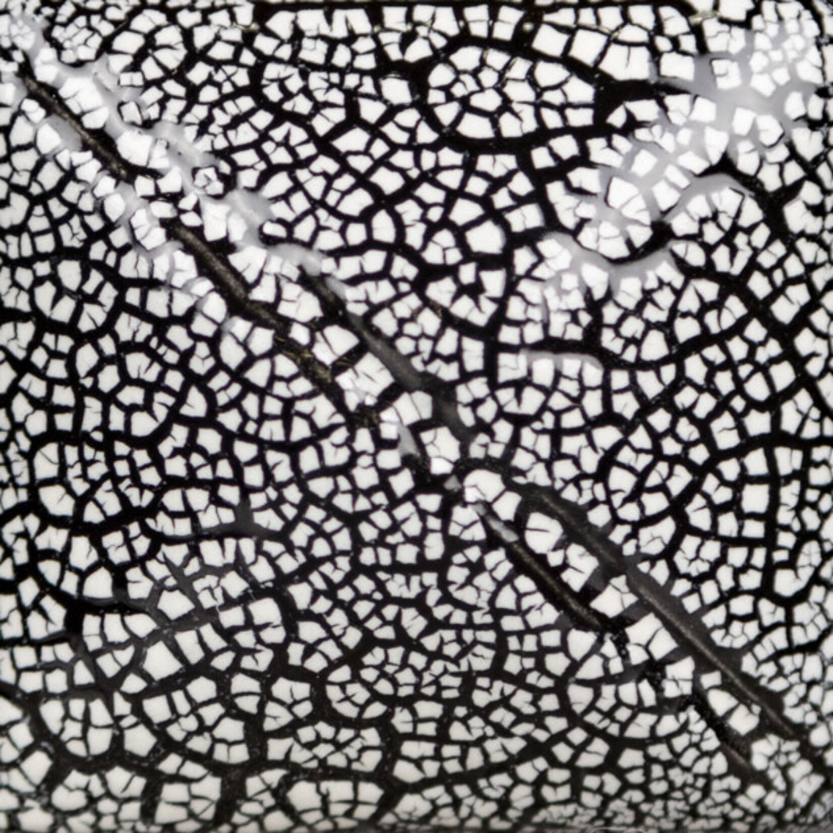 COLORAMICS, LLC MAYCO SG-202 WHITE COBBLESTONE