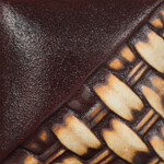 COLORAMICS, LLC SW-301 IRON WASH