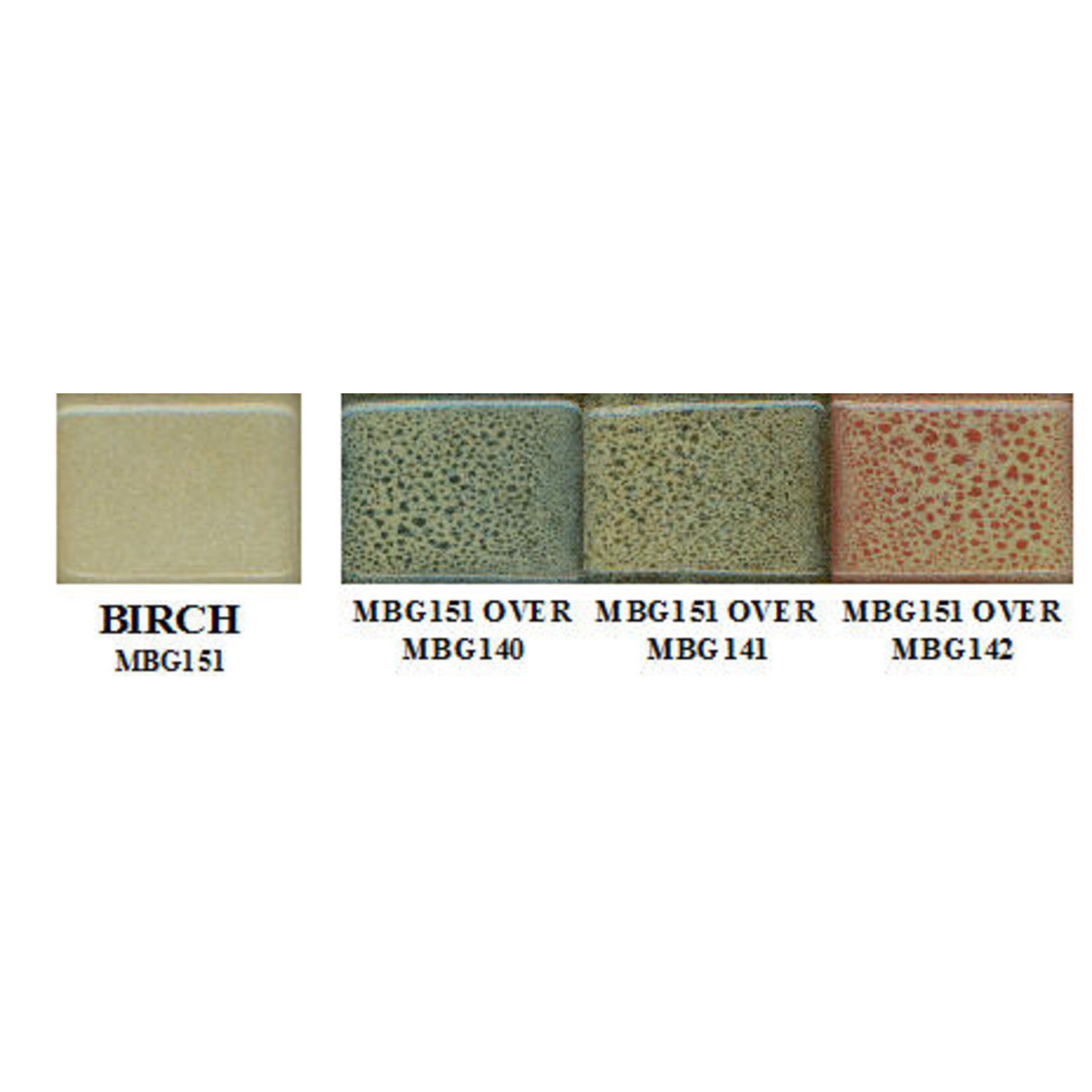 Coyote Clay & Color COYOTE MBG-151 BIRCH