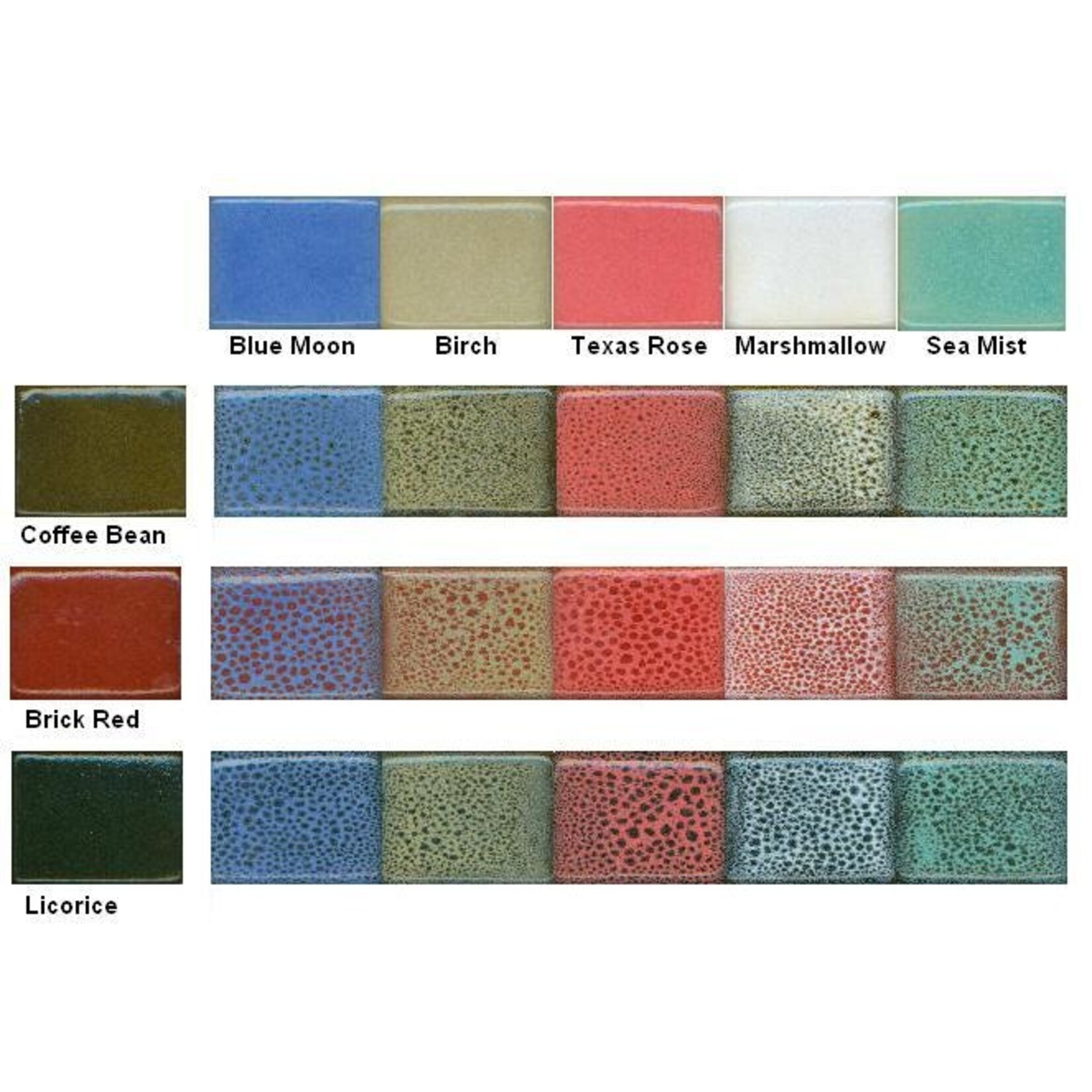 Coyote Clay & Color COYOTE MBG-154 SEA MIST