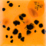 COLORAMICS, LLC CG-1013 PAPAYA