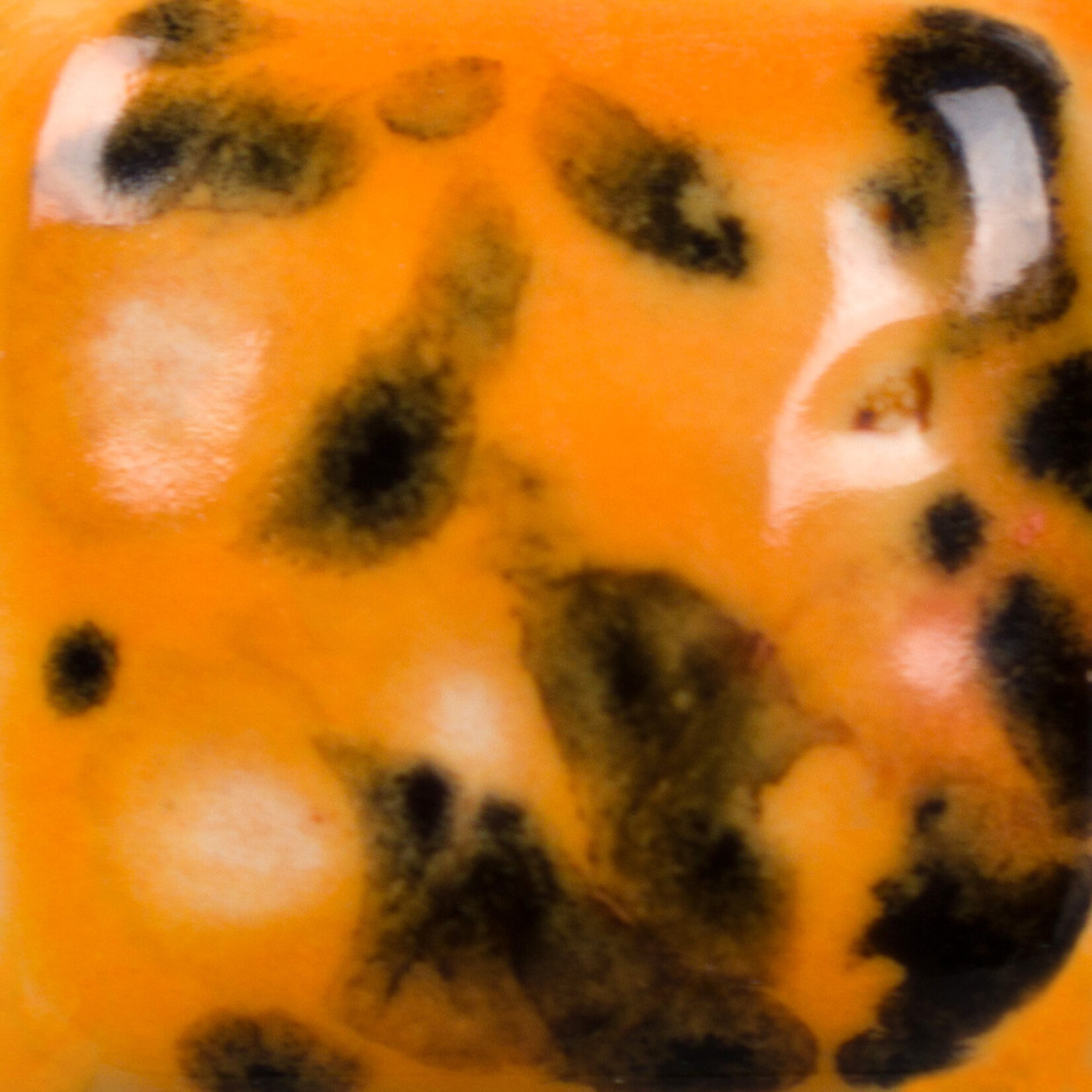 COLORAMICS, LLC MAYCO CG-1013 PAPAYA PT