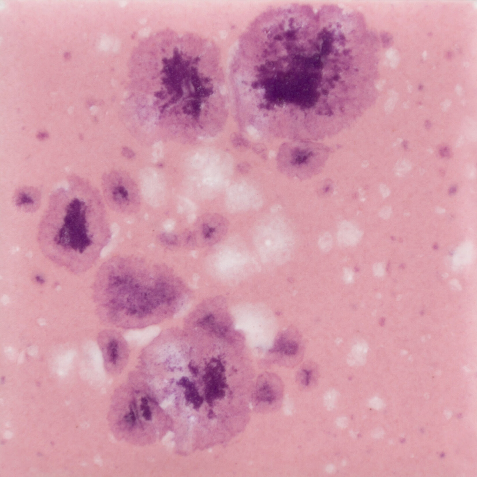 COLORAMICS, LLC MAYCO CG-1014 PINK PLUM PT