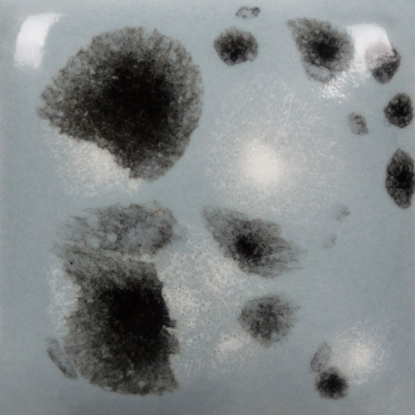 COLORAMICS, LLC MAYCO CG-1016 ASTEROID PT