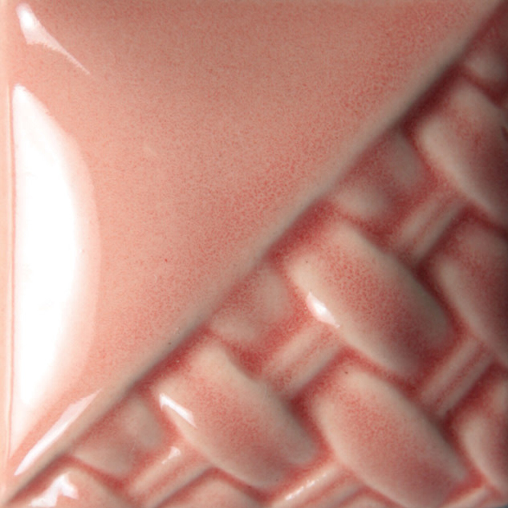 COLORAMICS, LLC MAYCO SW-205 CORAL pint