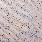American Art Clay GZ LIQ PCF-16 AURORA BREEZE