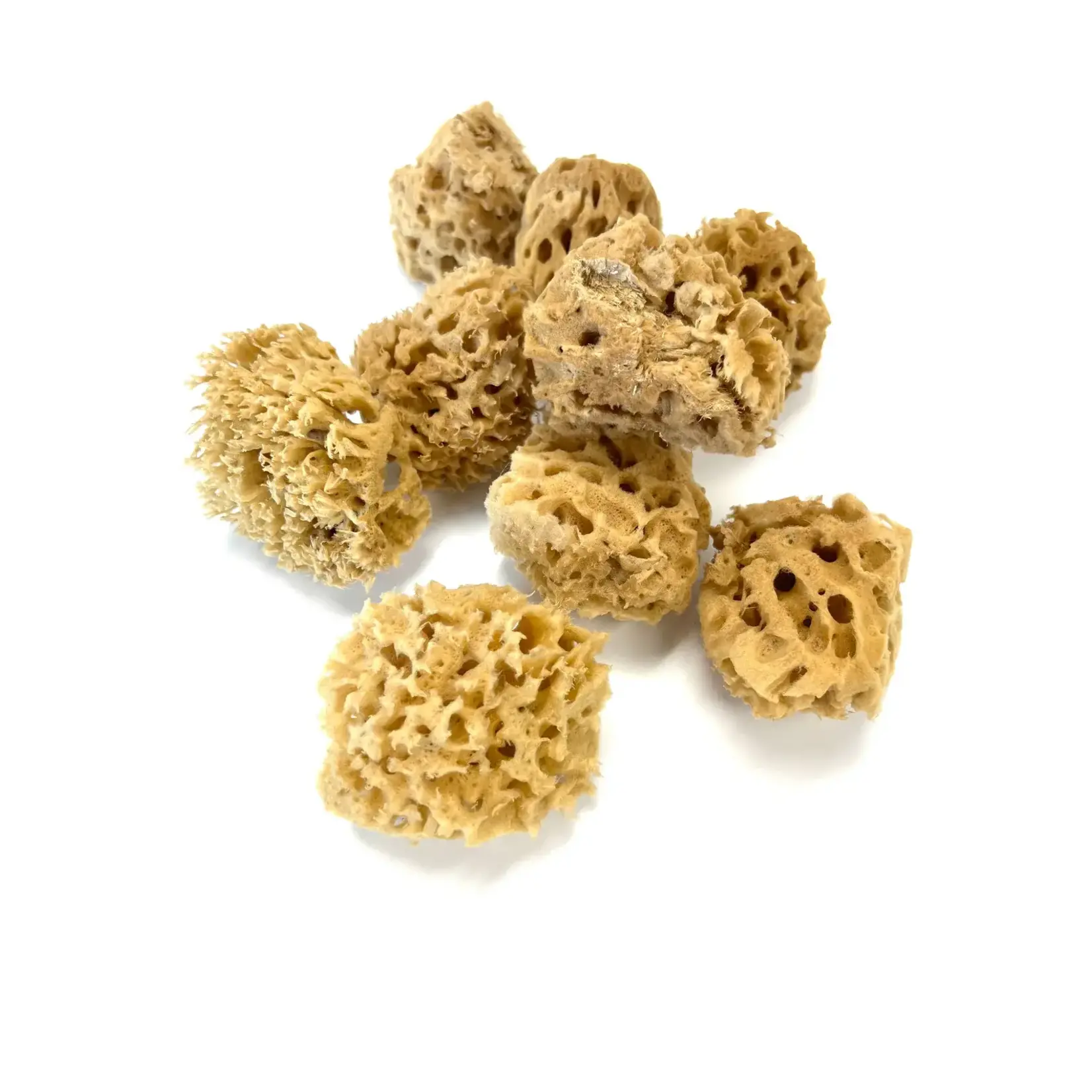 Kemper WOOL SEA SPONGE 3"
