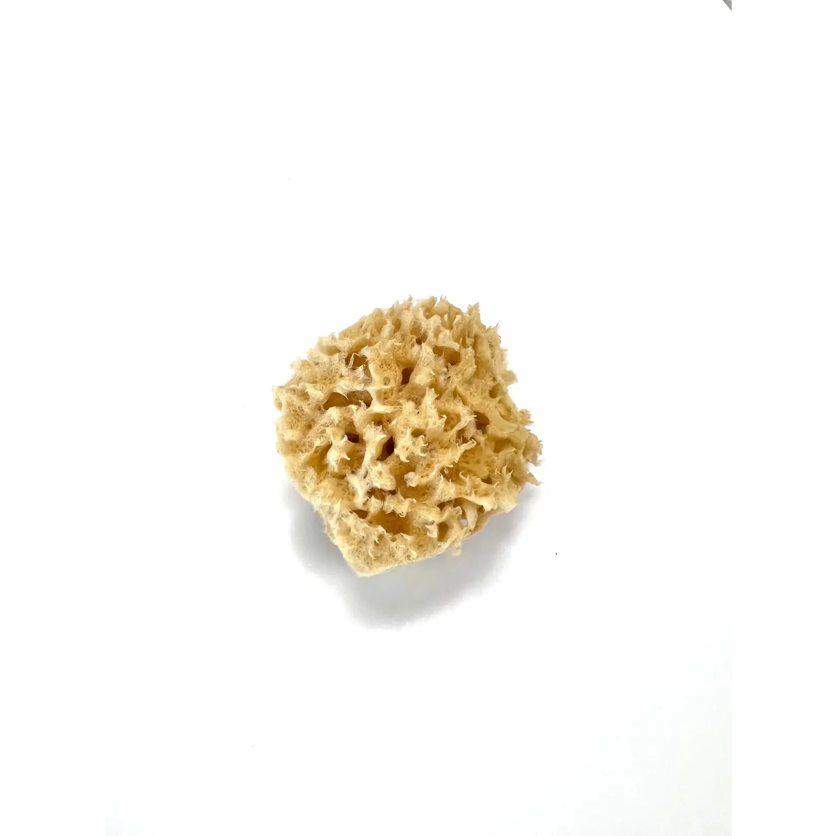 Kemper WOOL SEA SPONGE 3"