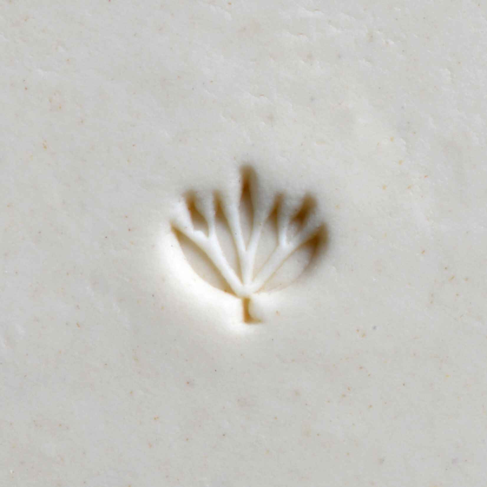 MKM POTTERY TOOLS MKM Smr-027 Mini Round Stamp – Water Lily