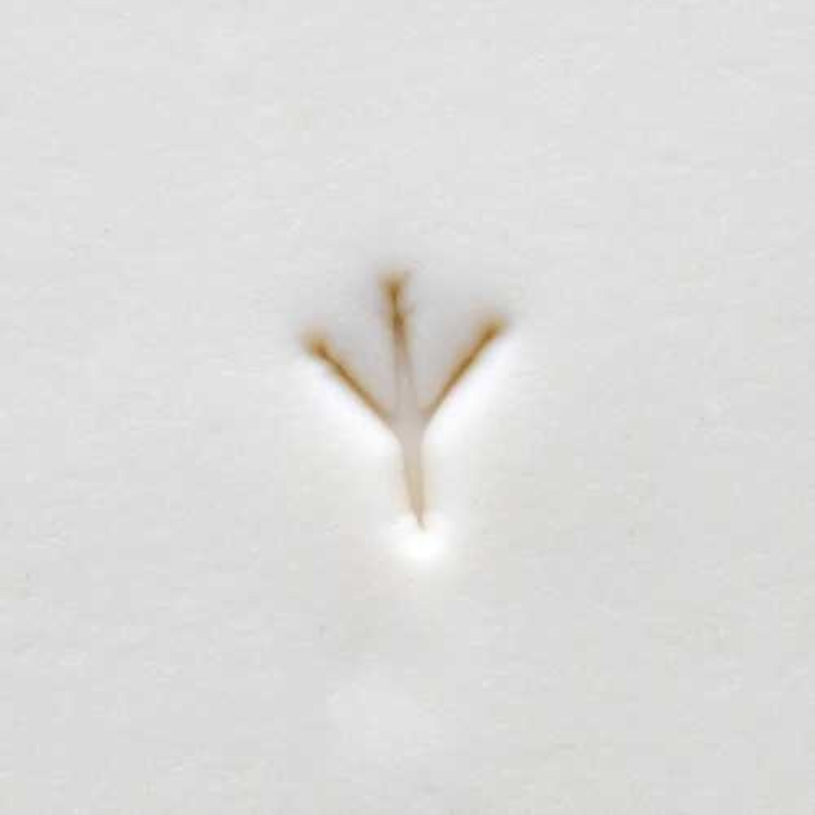 MKM POTTERY TOOLS MKM Smr-089 Mini Round Stamp – Chicken Footprint