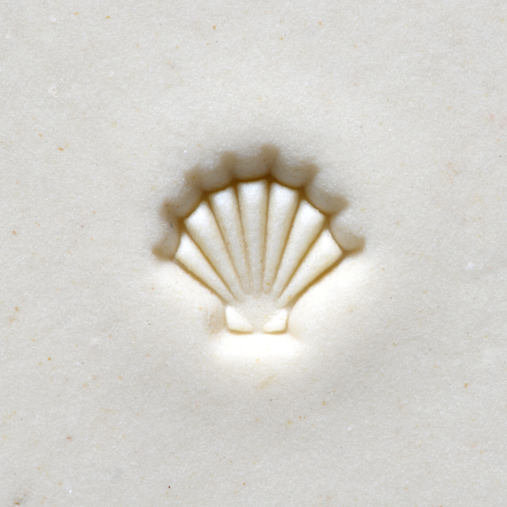 MKM POTTERY TOOLS MKM Smr-046 Mini Round – Scallop Shell