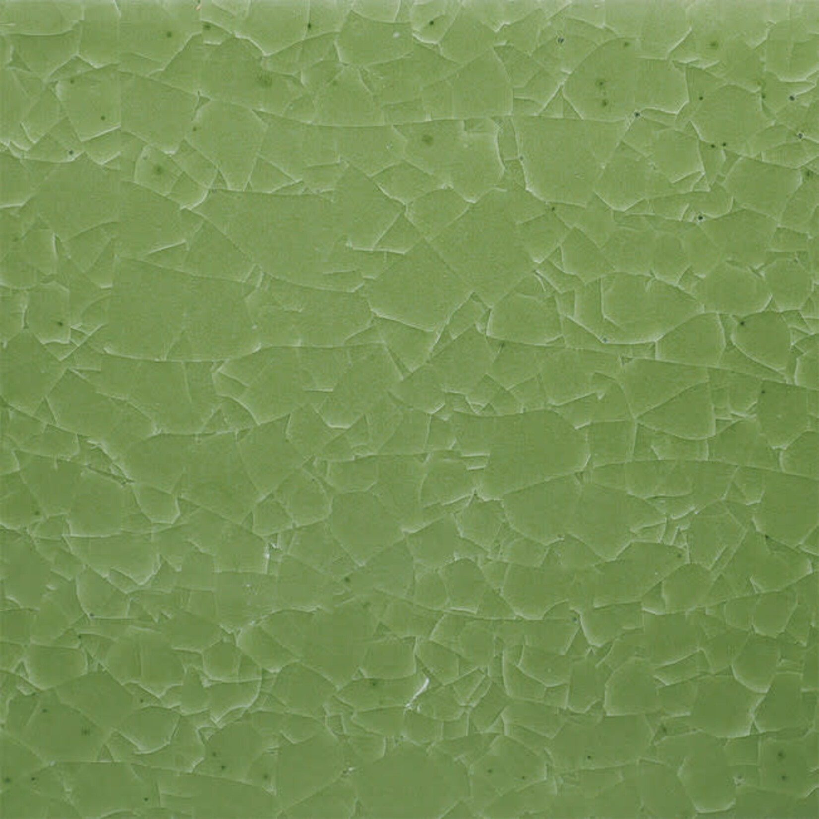 American Art Clay KI-46 FROZEN FERN