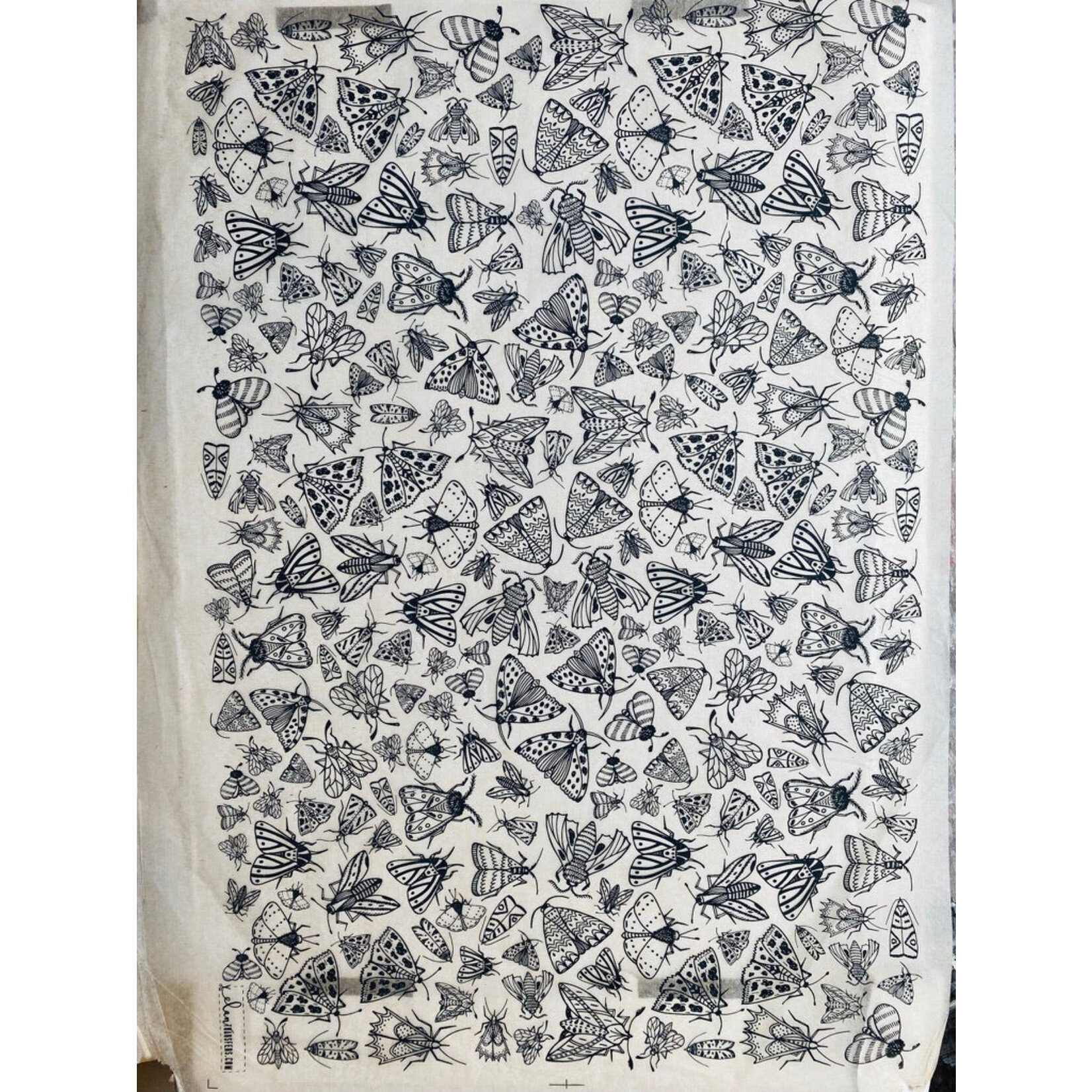 Elan Pottery Transfers Moths Underglaze Transfer - Black