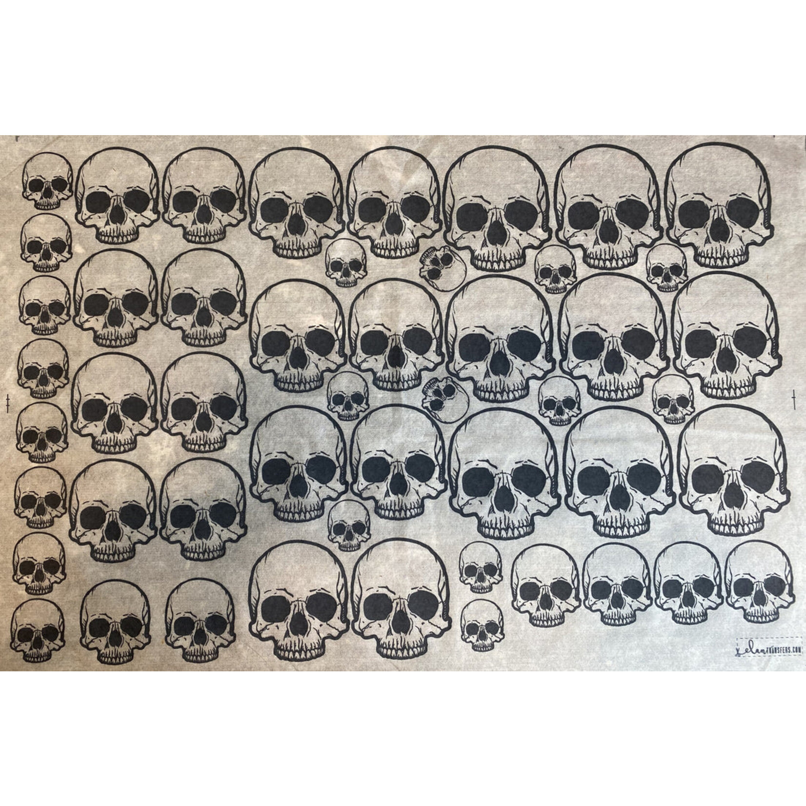 Elan Pottery Transfers Skulls Underglaze Transfer - Black
