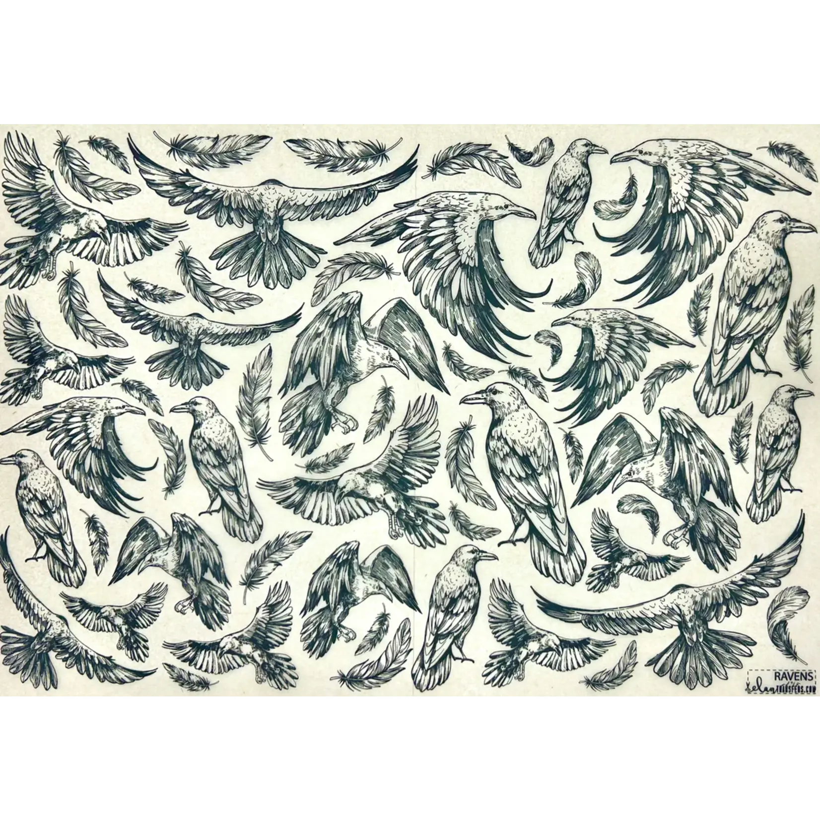Elan Pottery Transfers Ravens Underglaze Transfer - Black