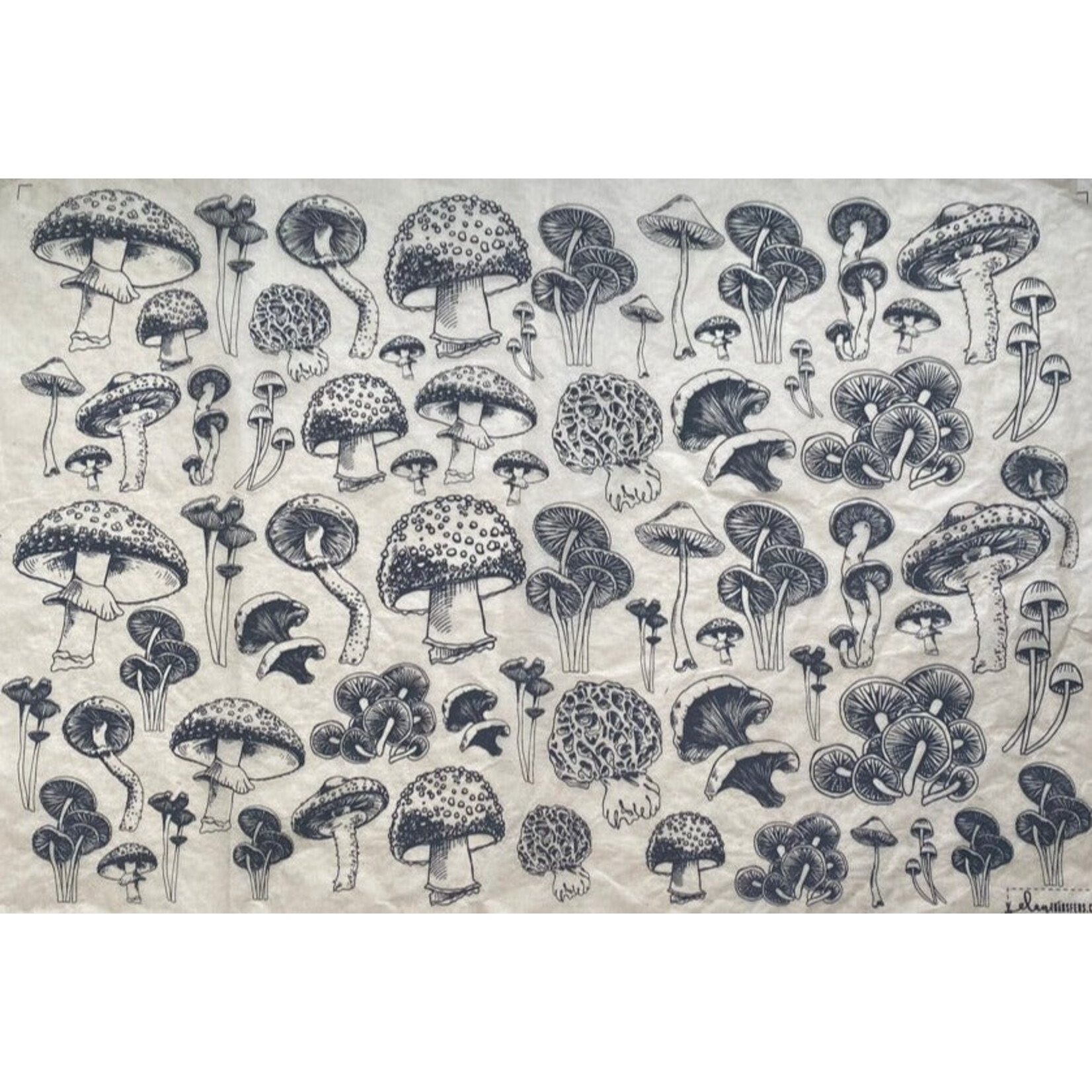 Elan Pottery Transfers Mushrooms Natural Underglaze Transfer - White