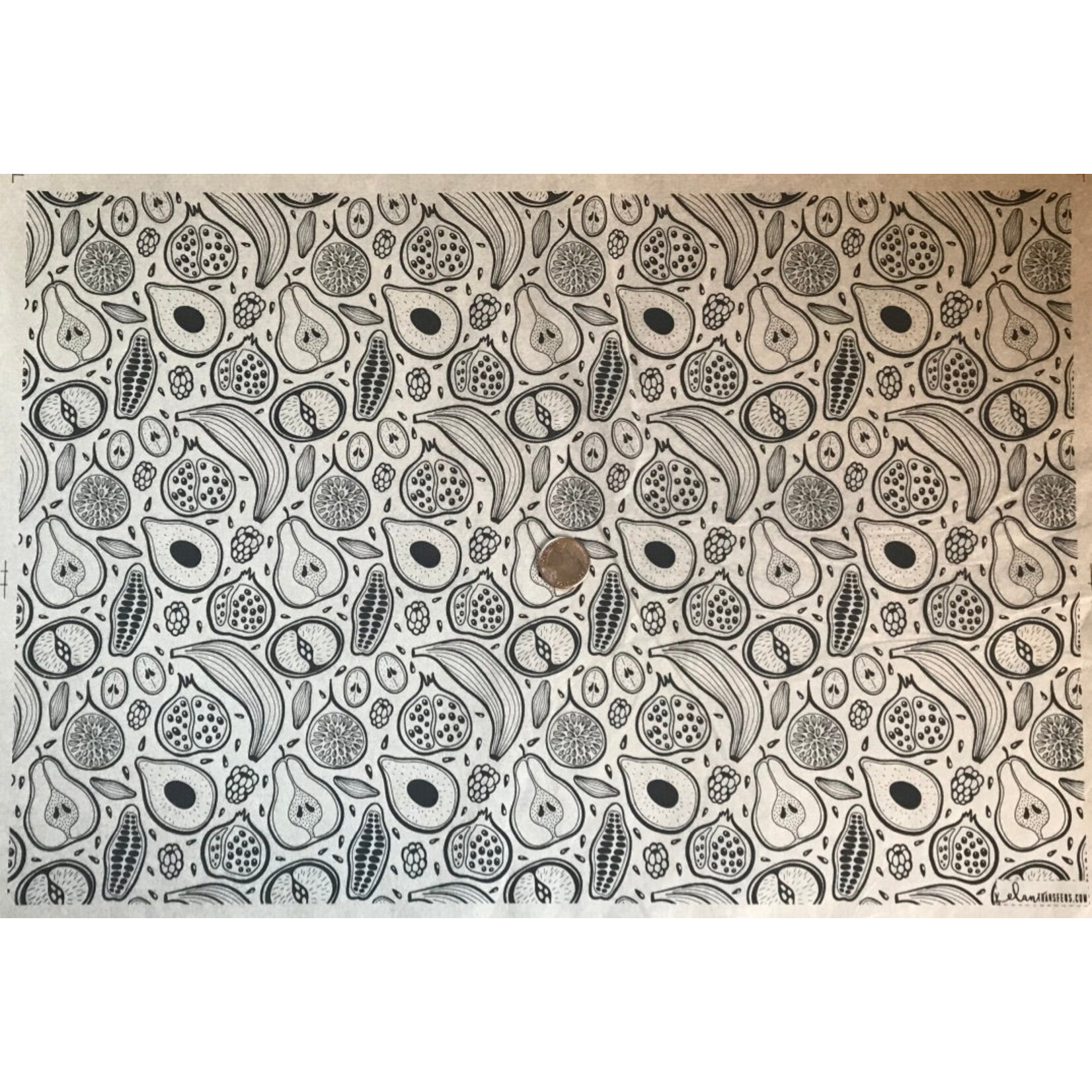 Elan Pottery Transfers Fruit Underglaze Transfer - Black