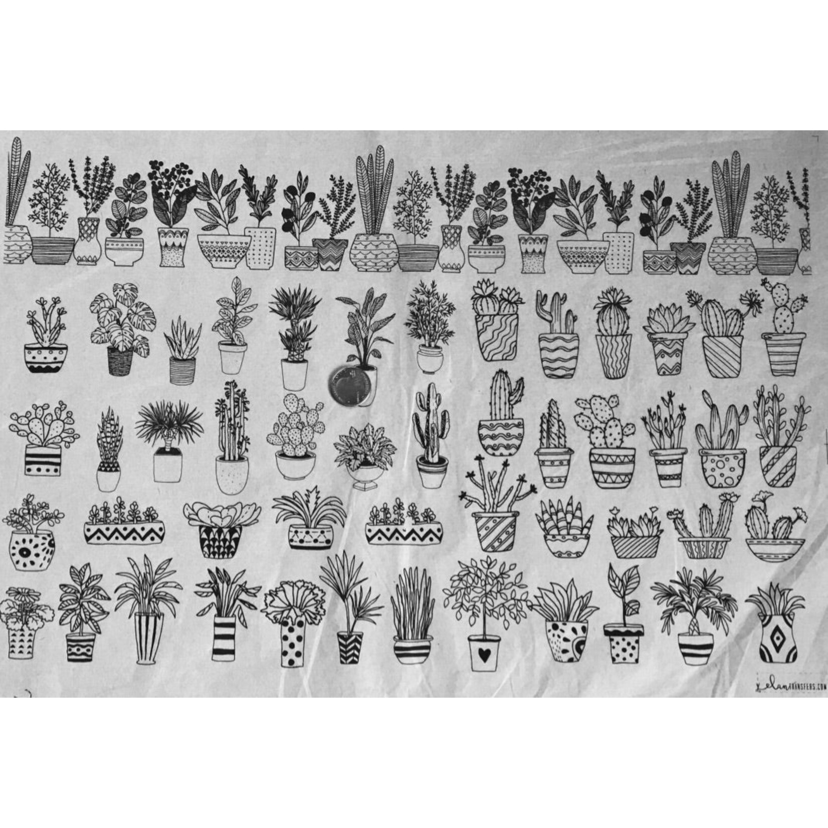 Elan Pottery Transfers Potted Plants Underglaze Transfer - Black