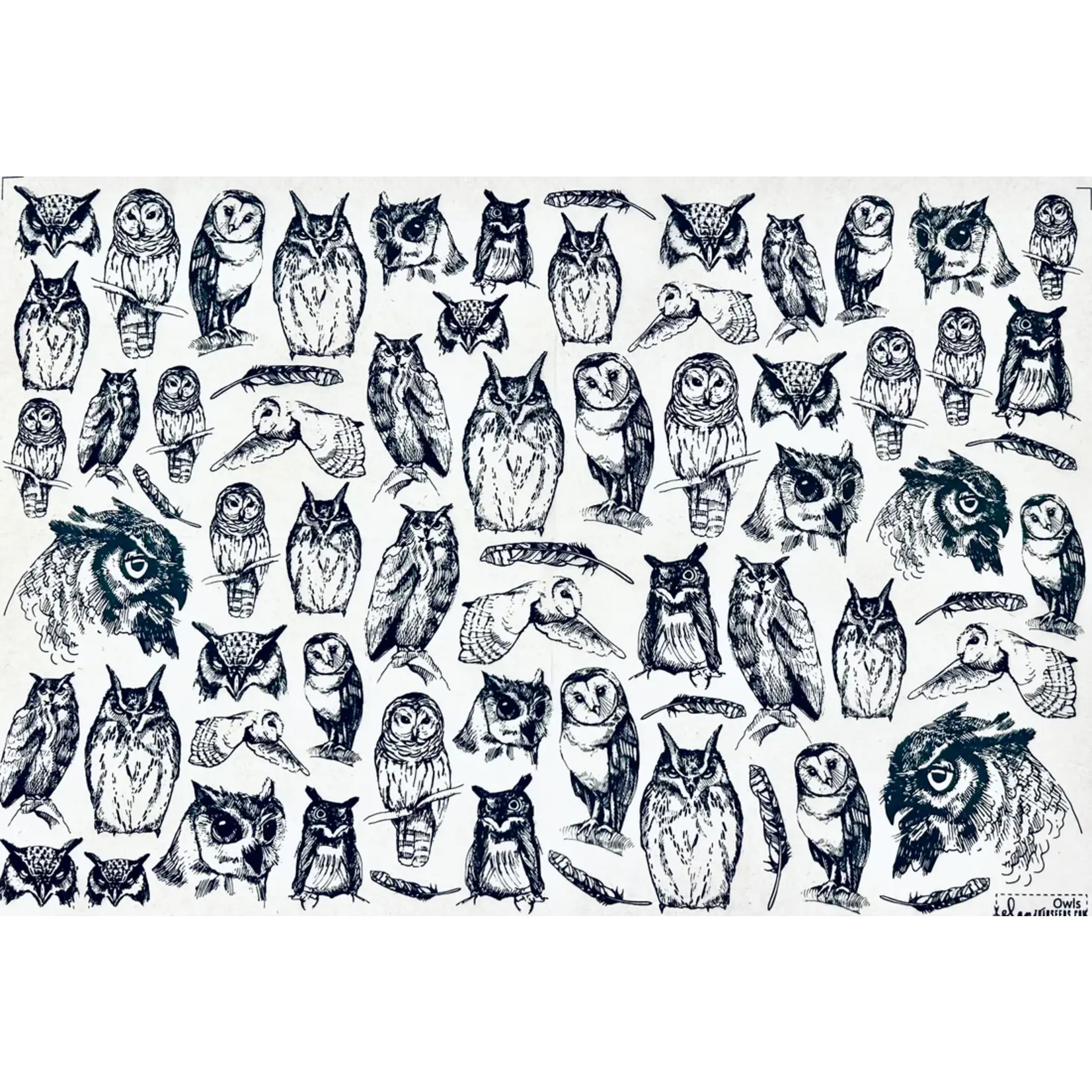 Elan Pottery Transfers Owls Underglaze Transfer - Black