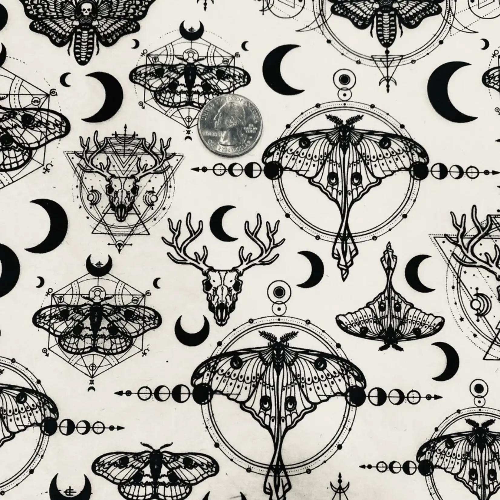 Elan Pottery Transfers Alchemy Underglaze Transfer - Black