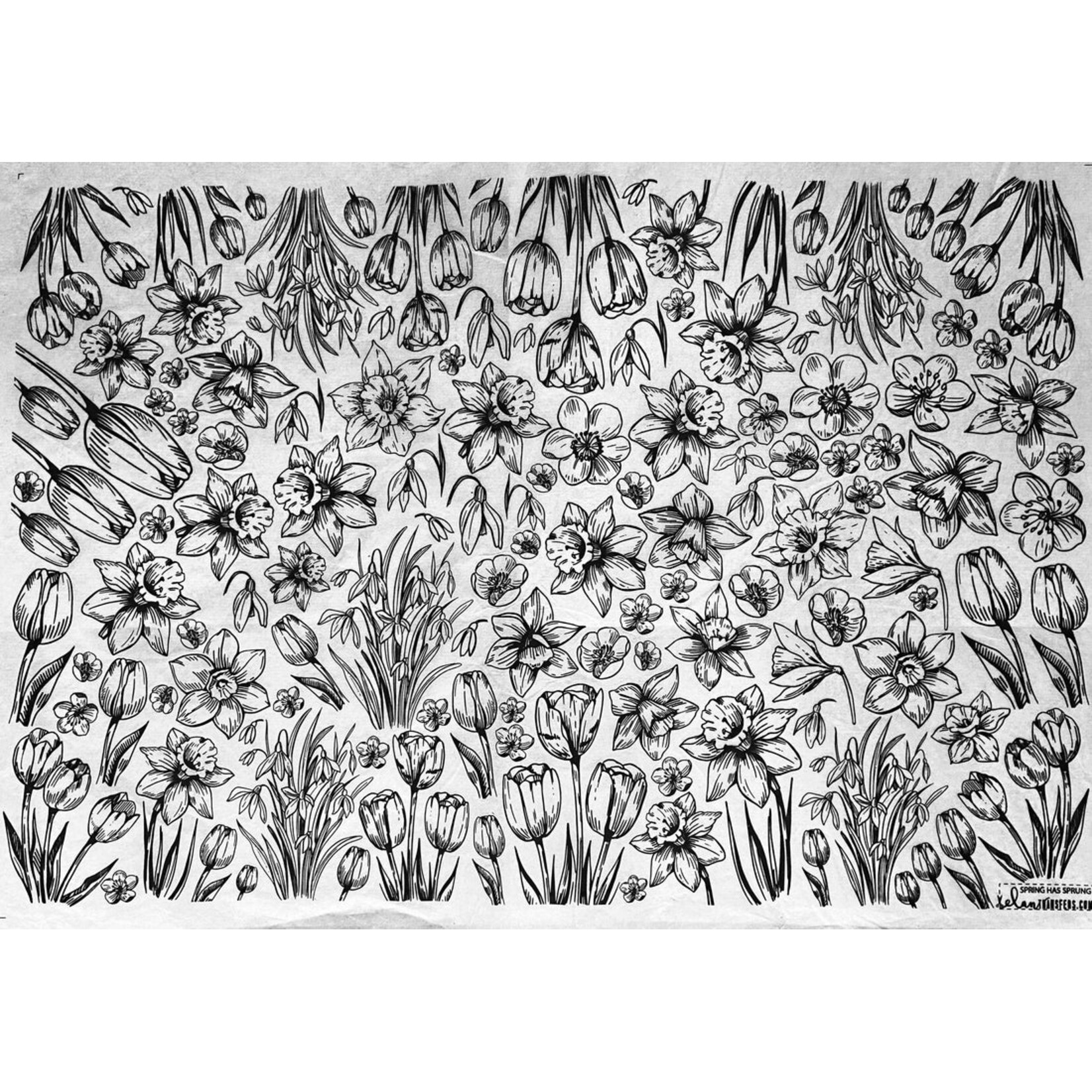 Elan Pottery Transfers Spring Has Sprung Underglaze Transfer - Black
