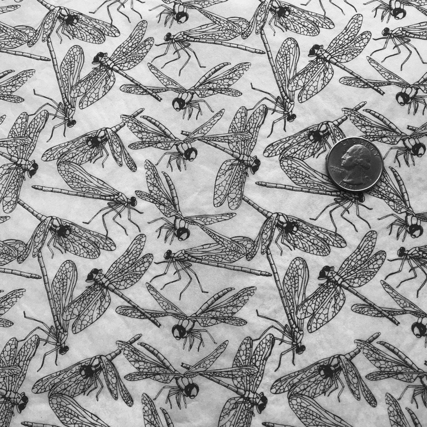 Elan Pottery Transfers Dragonflies Underglaze Transfer - Black