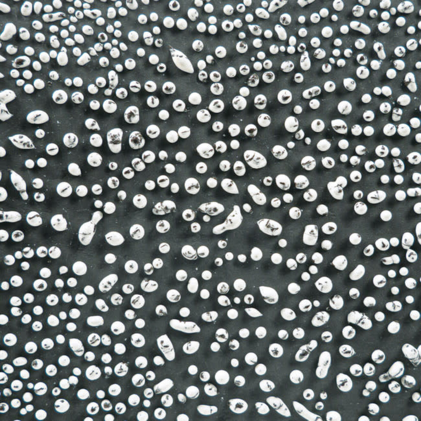 American Art Clay Gz Liq CR-12 Speckled White Crawl