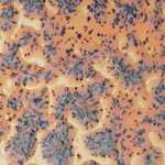 American Art Clay Gz Liq CR-18 Speckled Flux Crawl