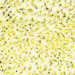 American Art Clay Gz Liq CR-61 Speckled Yellow Crawl
