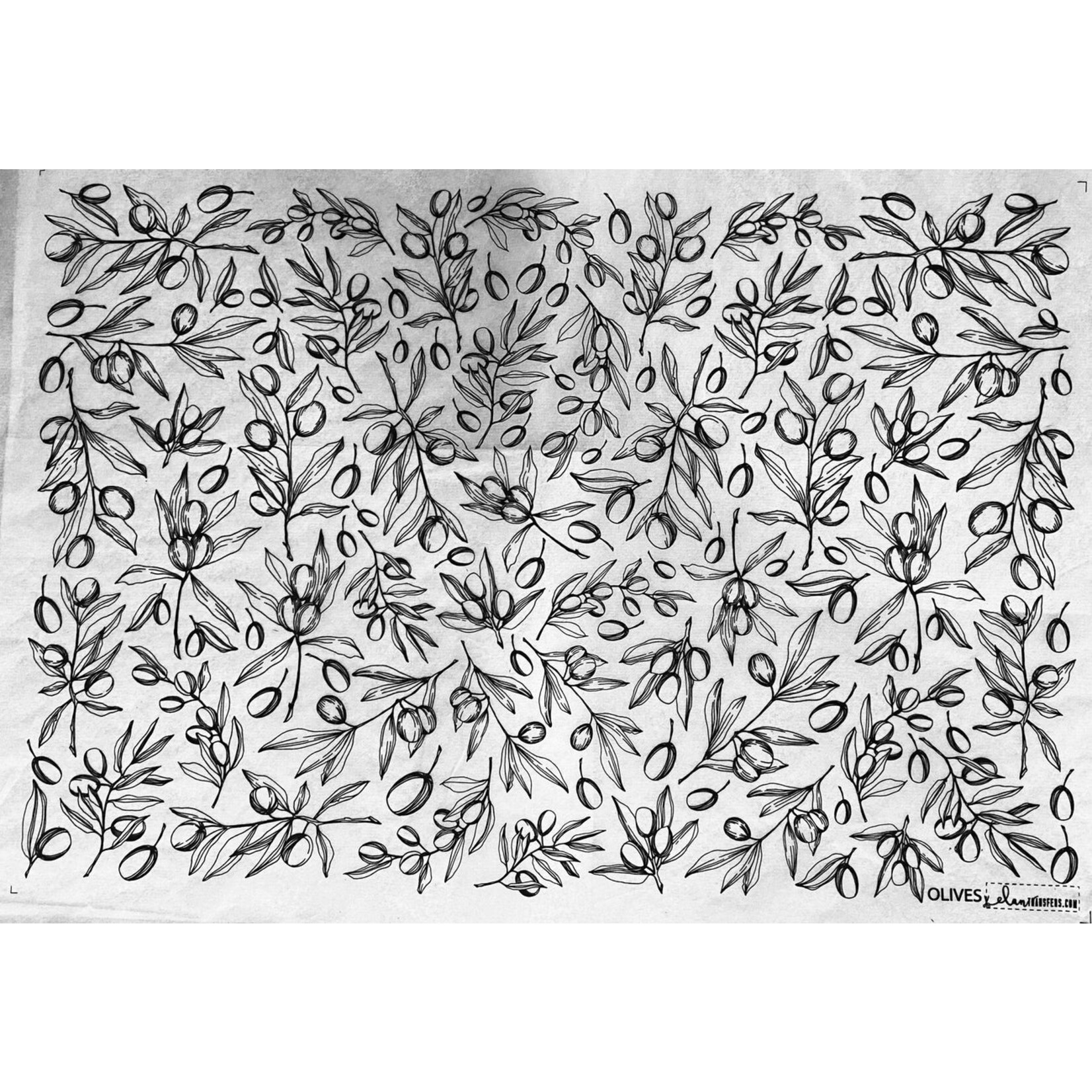 Elan Pottery Transfers Olives Underglaze Transfer - Black