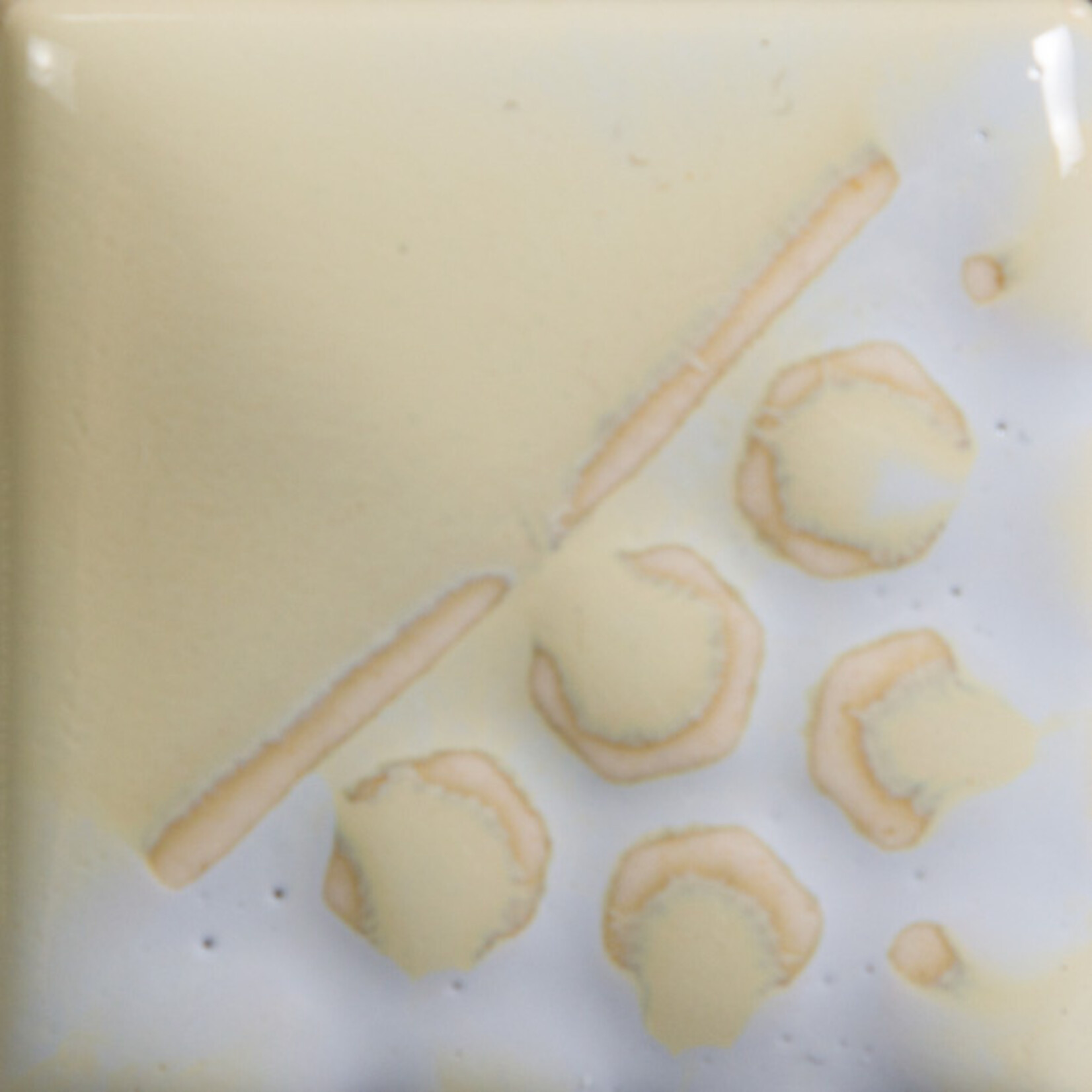 COLORAMICS, LLC MAYCO EL-101 OYSTER SHELL