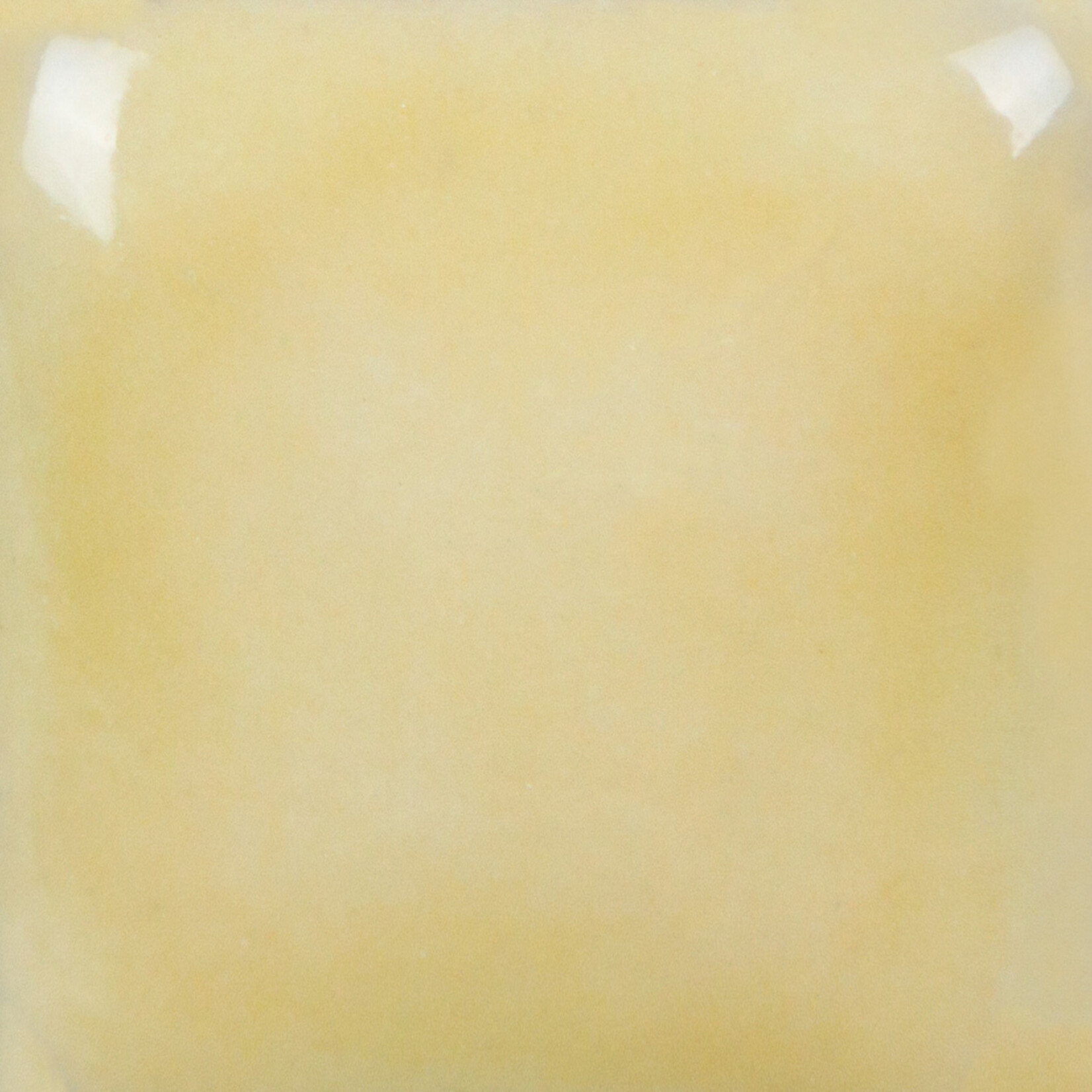 COLORAMICS, LLC MAYCO SC-51 POO BEAR pint
