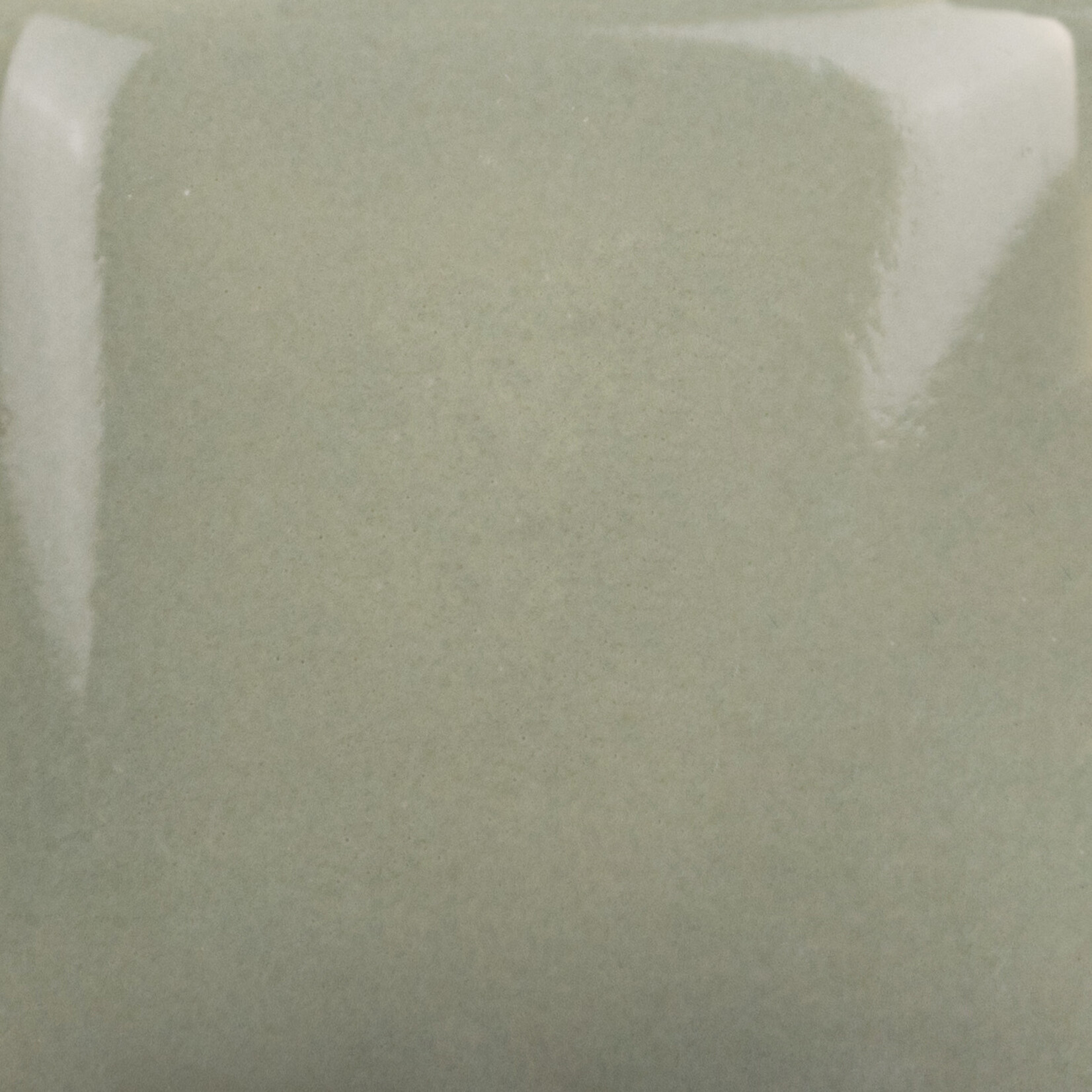 COLORAMICS, LLC MAYCO SC-90 ELEPHANT EARS pint