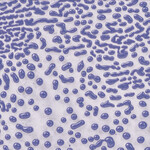 American Art Clay Gz Liq CR-54 Purple Crawl