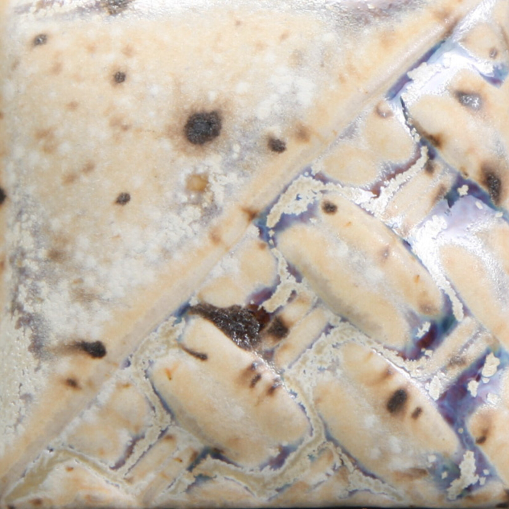 COLORAMICS, LLC MAYCO SW-176 SANDSTONE