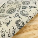 Elan Pottery Transfers Nests Underglaze Transfer Sheet - Black